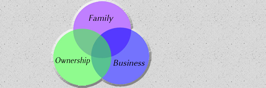 Family Business, Family Values and Policy Governance
