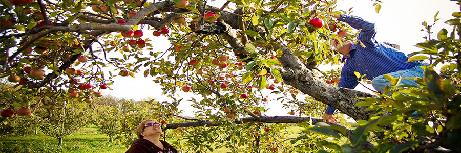 Don’t Be Satisfied with Low-Hanging Fruit
