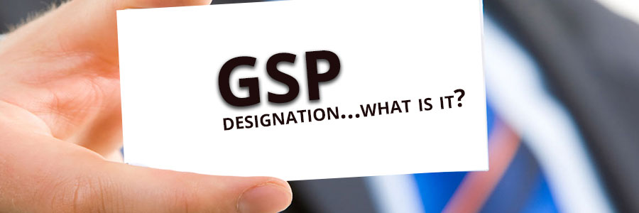 GSP – Professionalism in Governance