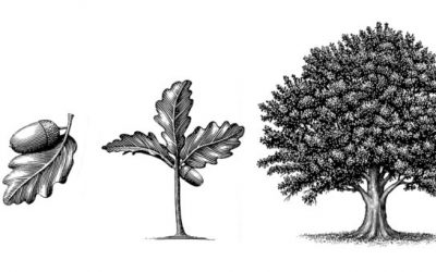 Change or Growth?