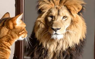 MIRROR, MIRROR ON THE BOARD WALL – ARE WE THE MOST EFFECTIVE BOARD OF ALL?